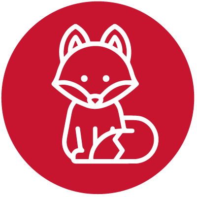 Beavers / Cubs / Scouts